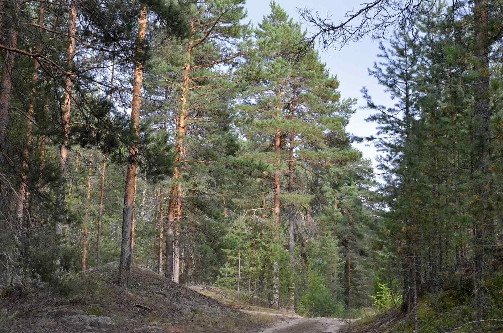 Фото Виталия Зайцева