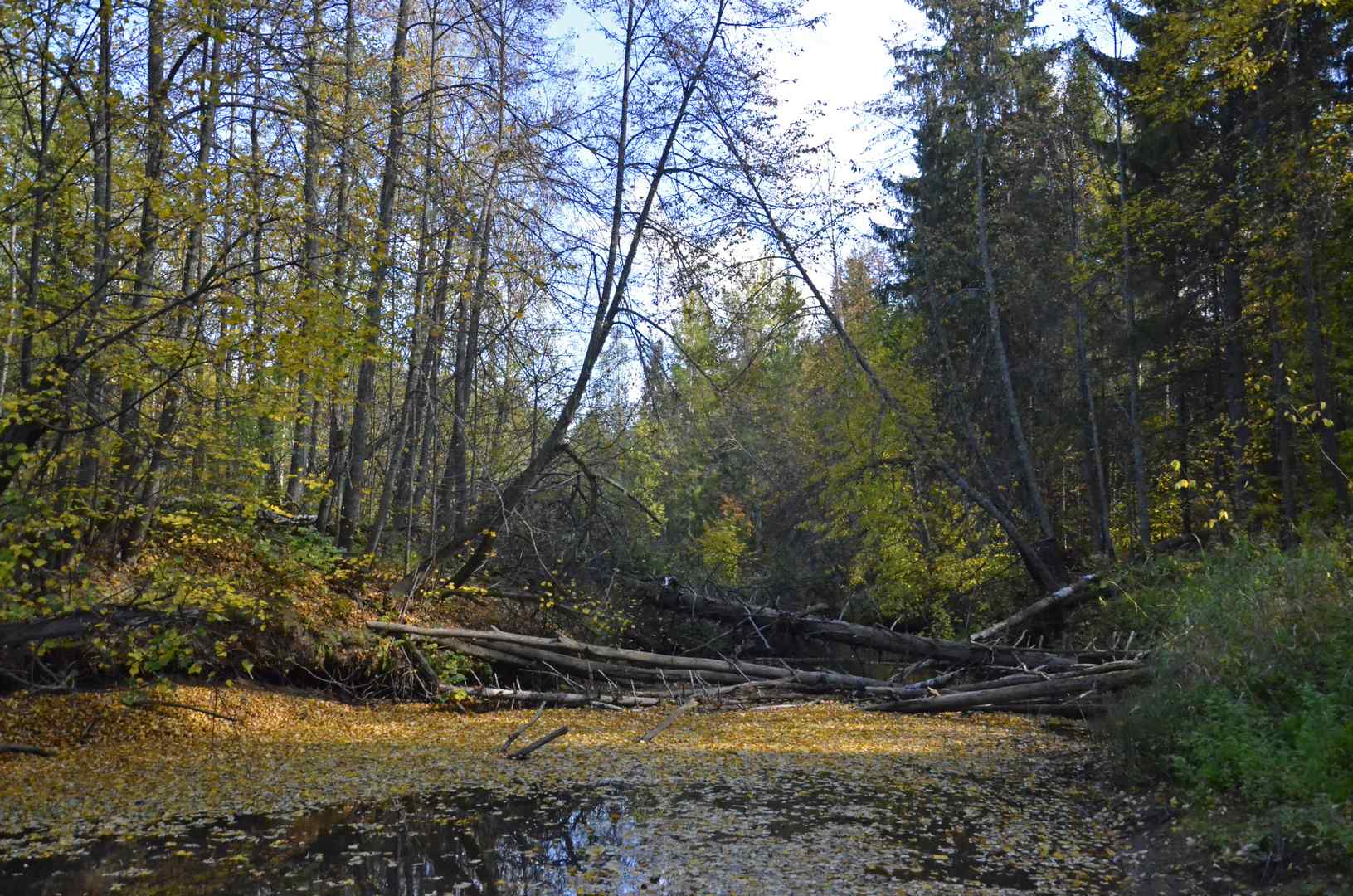 Фото Виталия Зайцева